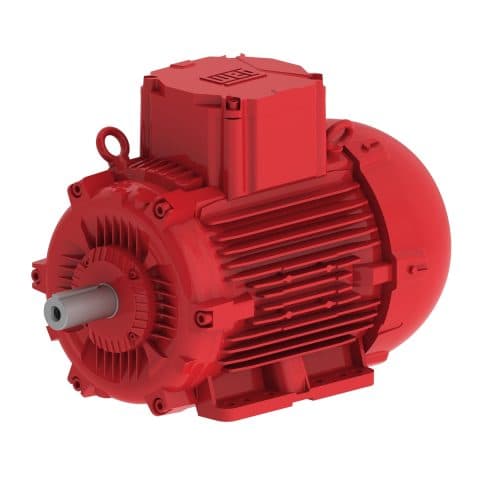 WEG W22Xdb – Flameproof Ex db Motor - AEM Group