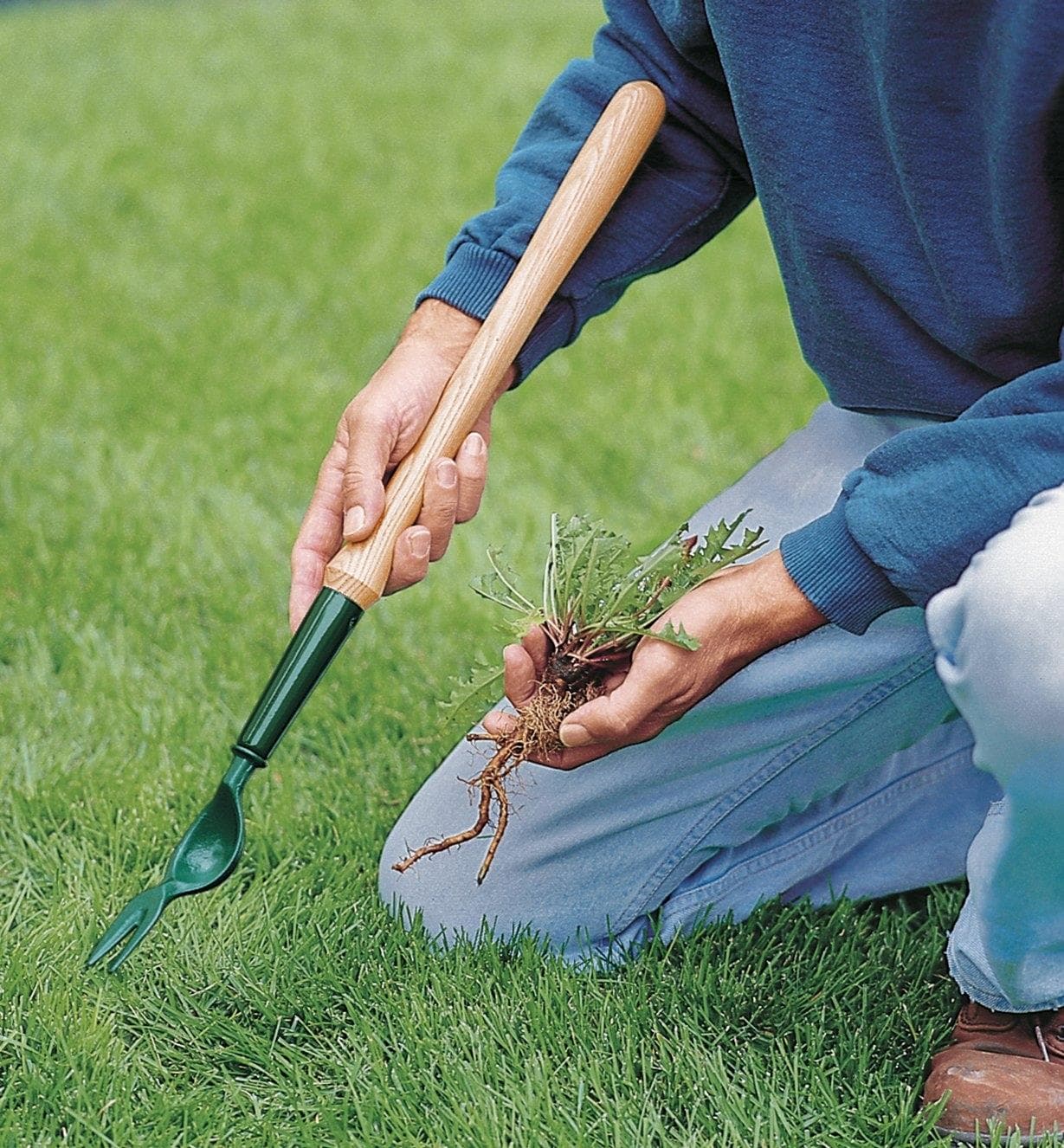 Garden Tools Dandelion Weeder | Fasci Garden