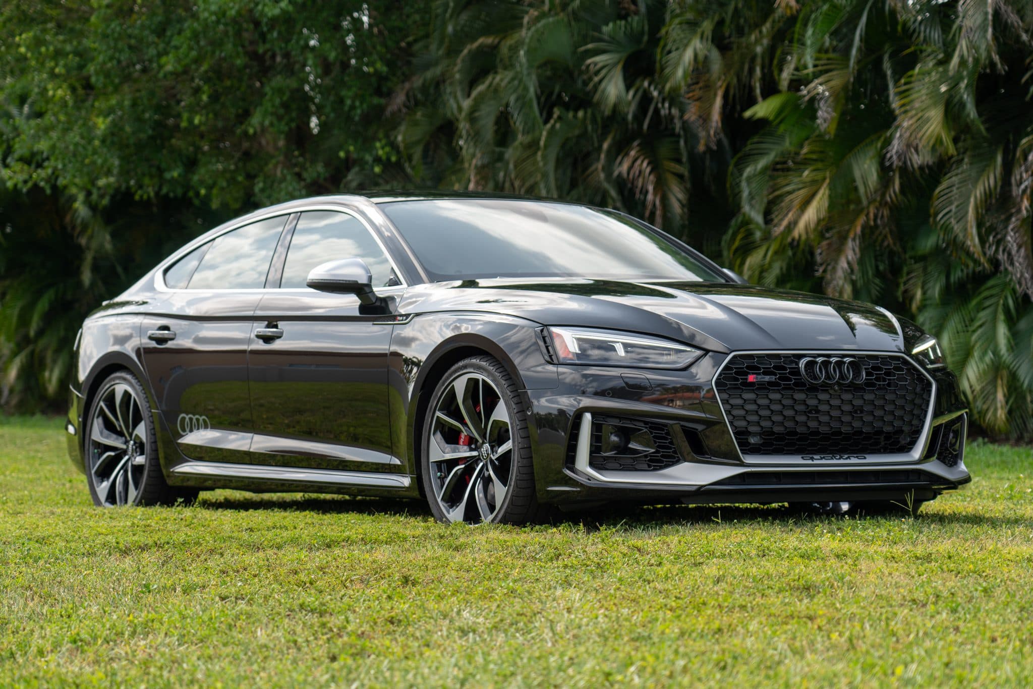 2019 Audi RS5 Sportback Panther Edition for sale on BaT Auctions - sold ...