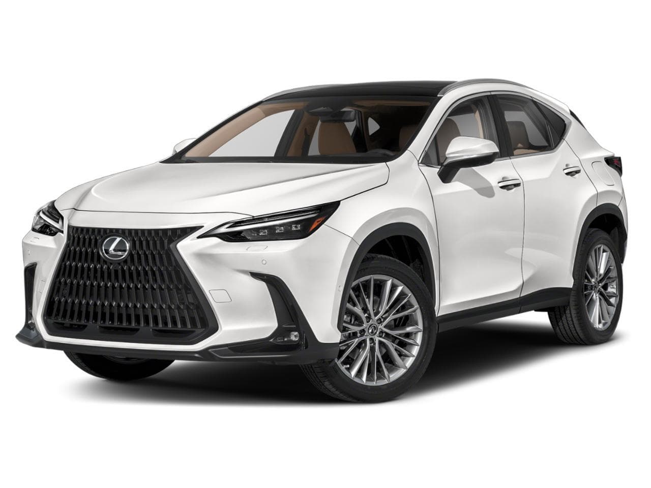 New 2024 Lexus NX 350h Luxury in Concord CA