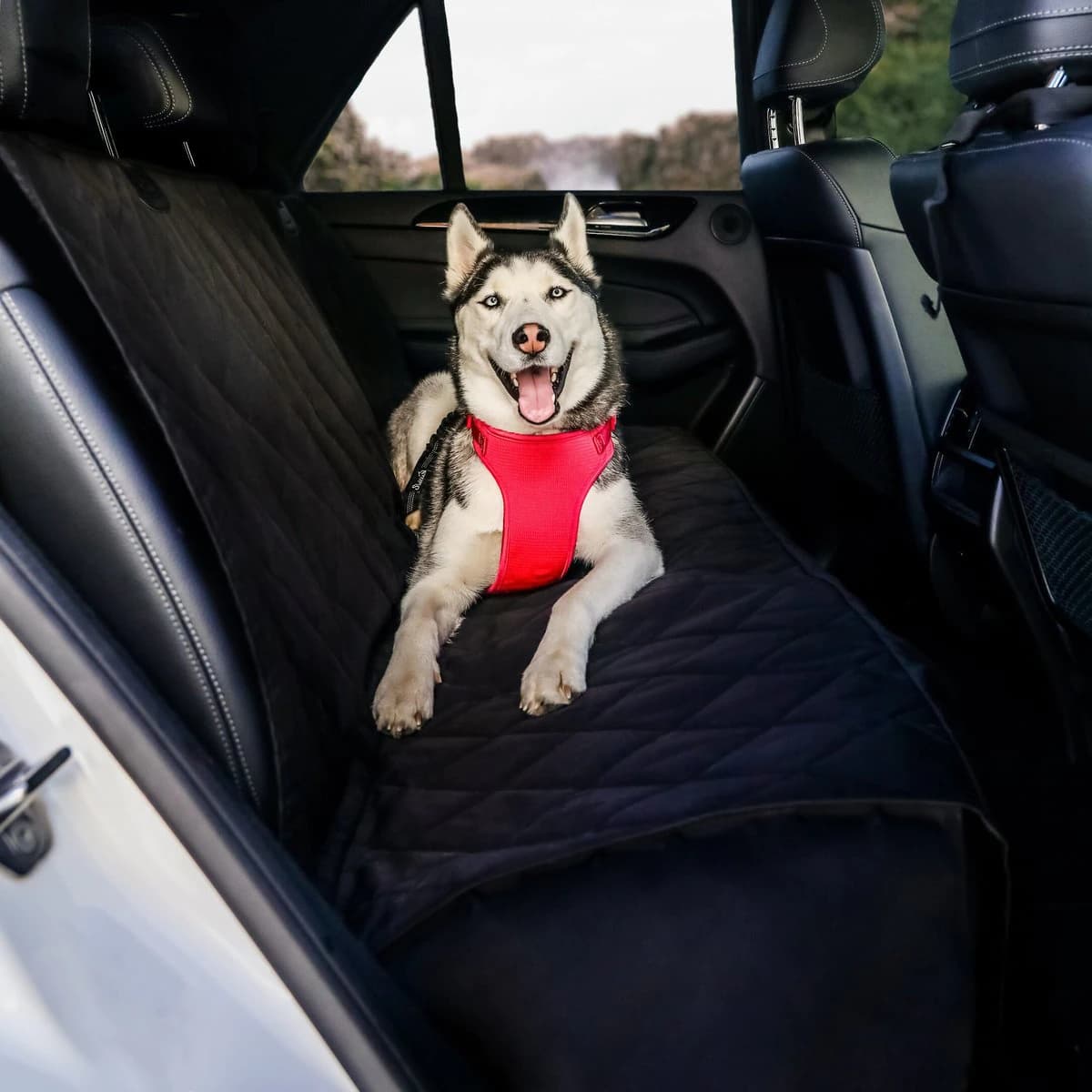 BarksBar Luxury Pet Car Seat Cover With Seat Anchors For Cars, (60" X 64")
