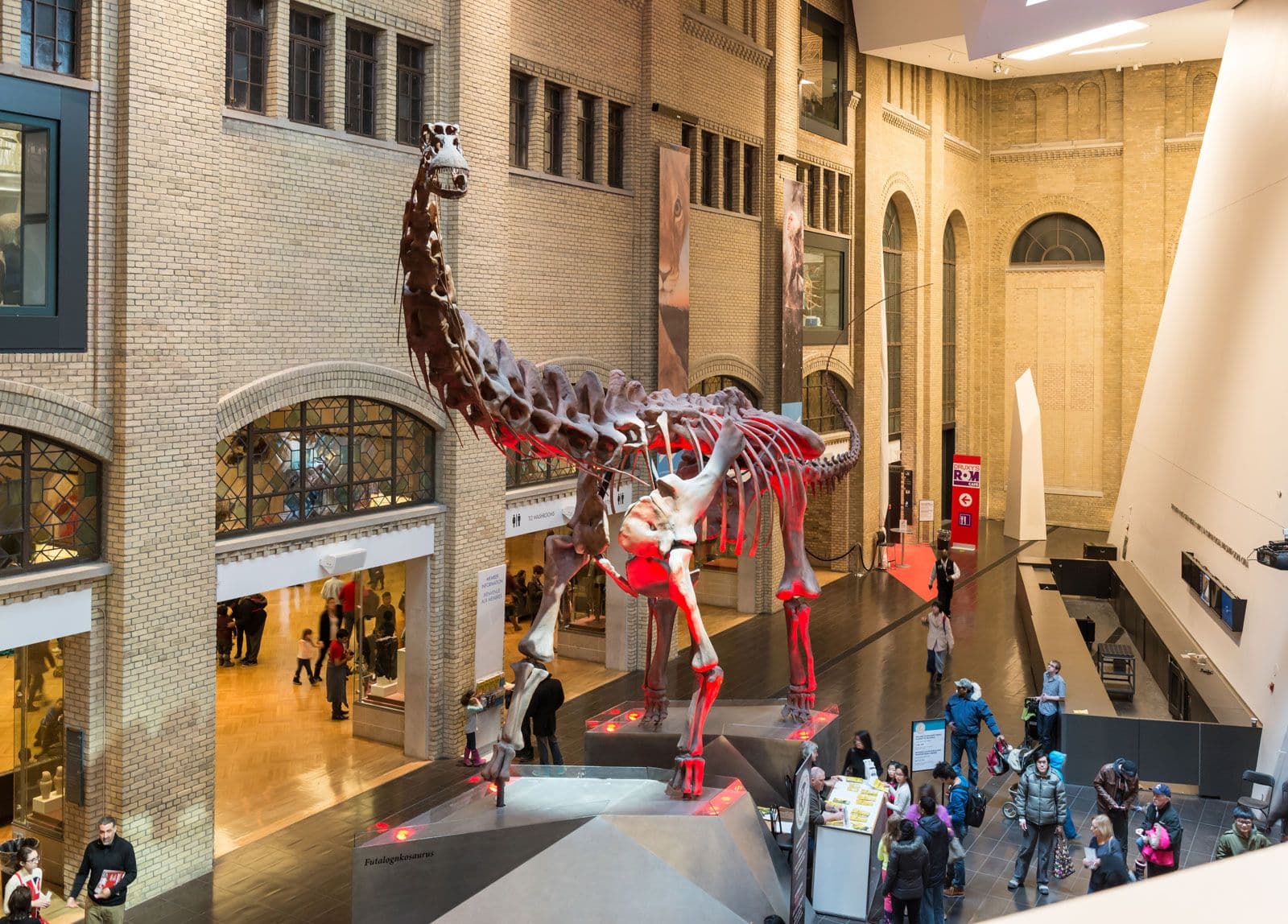 Museum - Conservation, Preservation, Education | Britannica