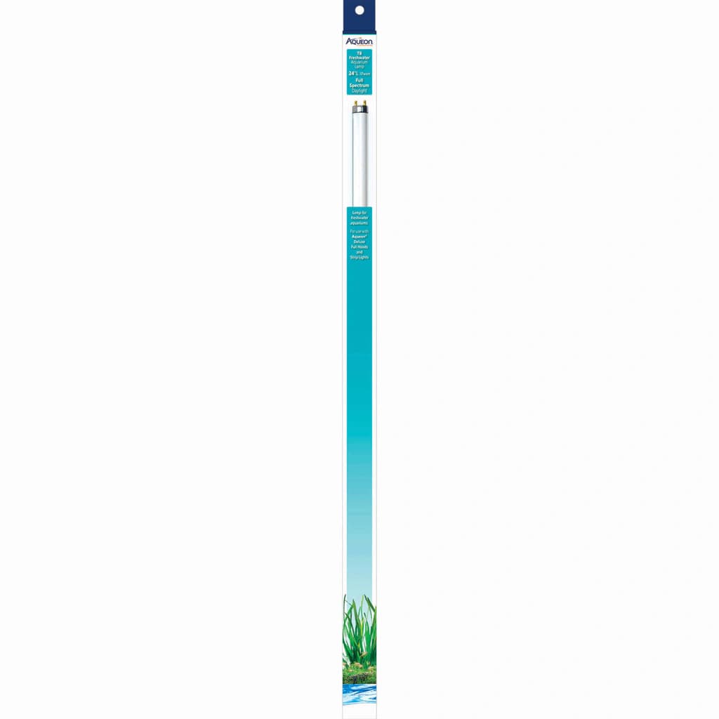 Aqueon Full Spectrum Daylight T8 Fluorescent Lamp - 14 W - 15"