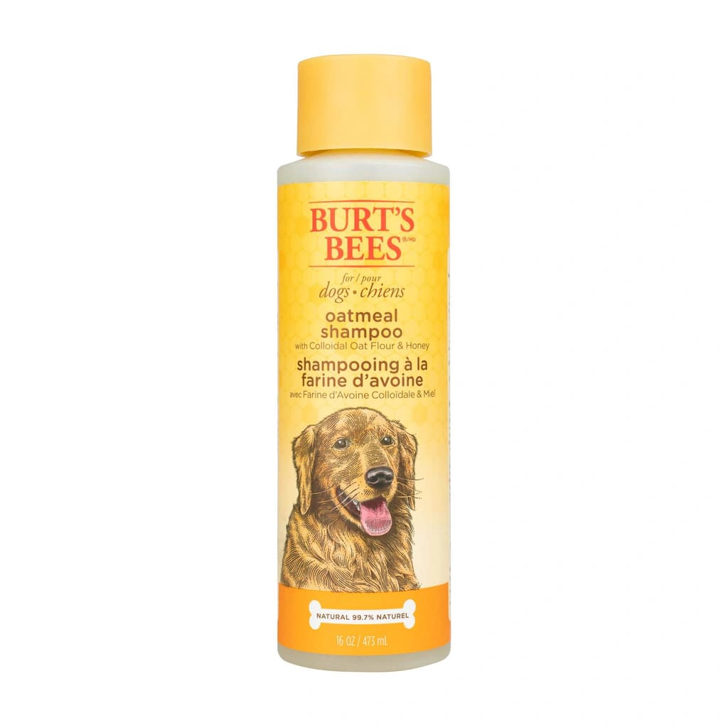 Burt's Bees for Pets Oatmeal Dog Conditioner with Colloidal Oat Flour ...