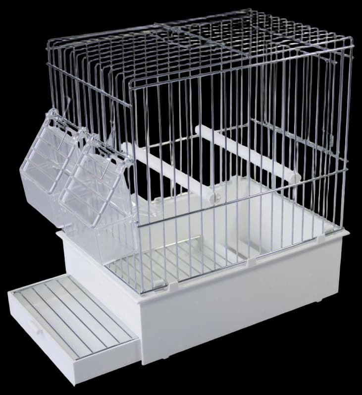 Cage de transport Capuca pour petits oiseaux