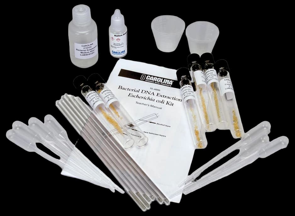 Onion DNA Extraction Classroom Kit | Carolina Biological Supply