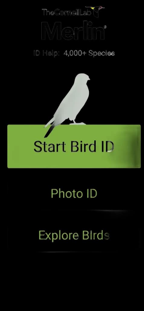 Merlin Bird ID by Cornell Lab - by Mr. Ed - Podfeet Podcasts