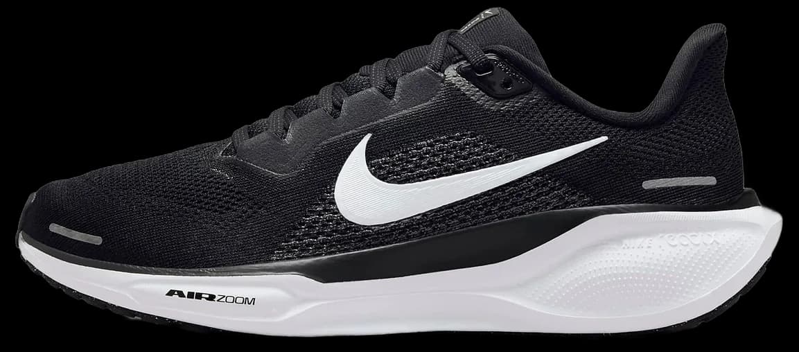Nike Pegasus 41