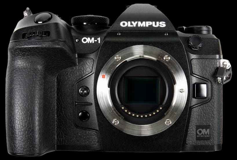 OM System OM1 review - Not a birding review!!! - The Cotswold Photographer