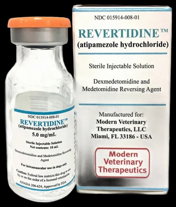 Local Anesthetic Agents in Companion Animal Veterinary Practice
