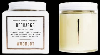 Buy Woodlot Recharge Coconut Wax Candle at Well.ca | Free Shipping $35 ...