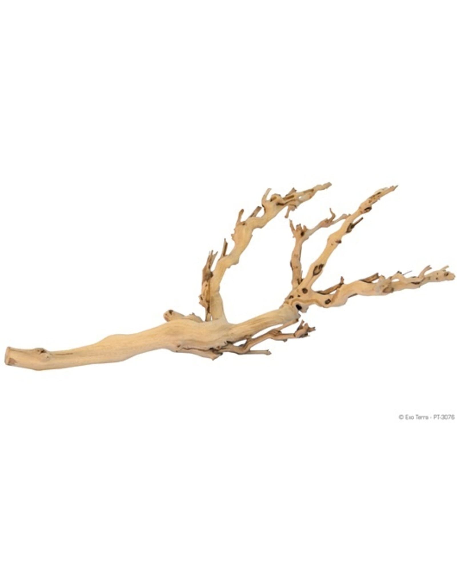 EXO TERRA Forest Branch - Roger's Aquatics & Pet Supplies