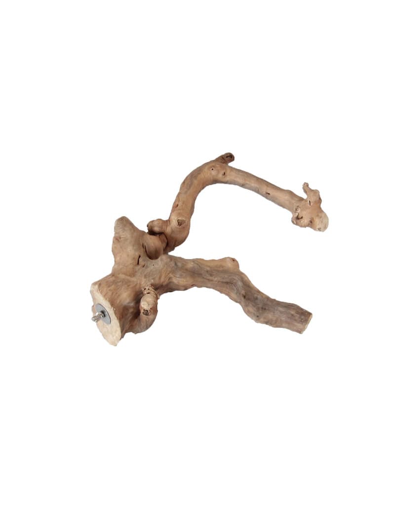 A&E Cage Company AE Cage Company Multi Branch Java Wood Perches - Noah ...