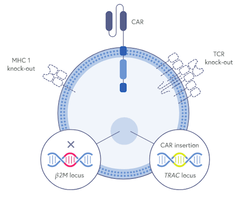 News: CRISPR Medicine News Company Roundup - CRISPR Therapeutics ...