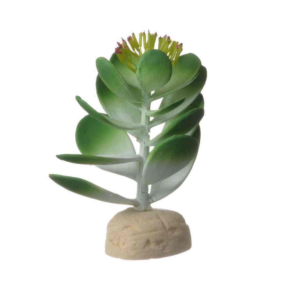 Exo-Terra Desert Jade Cactus Terrarium Plant 1 Pack | eBay