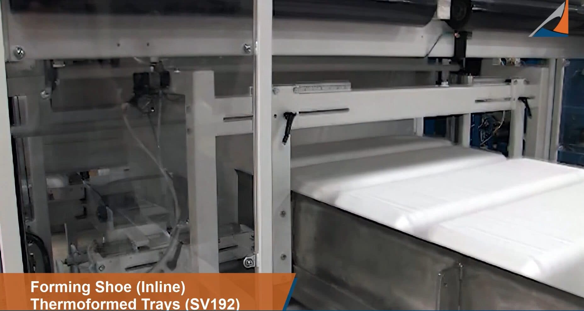 Inline Automatic Packaging Thermoformed Trays | EDL