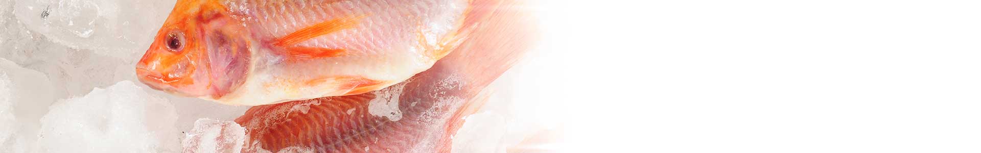 Exotic Frozen Fish, Buy Online, Fast Fish & Seafood Delivery