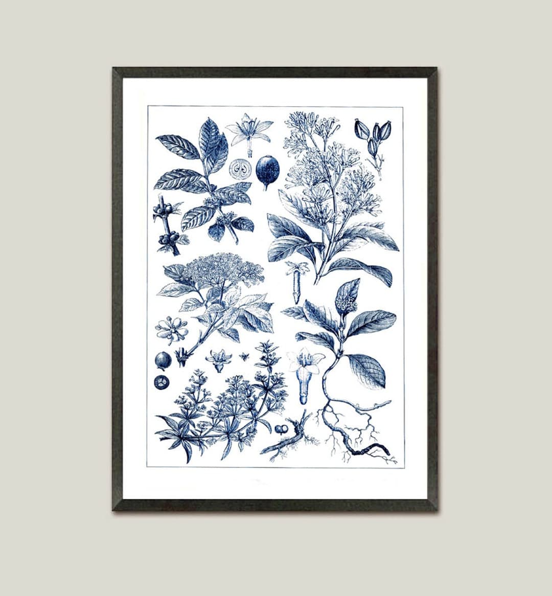 3 Set Indigo Botanical Prints. Vintage Collection of Plants, Navy Blue ...