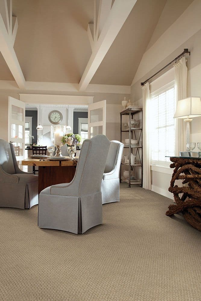 Shop Shaw Floors Caress By Shaw RICH OPULENCE Awaken 00104_CCS88 Carpet ...