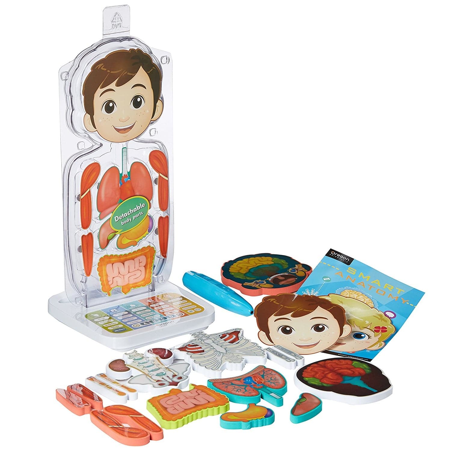 Oregon Scientific SA218 Smart Anatomy Educational Human Body For Kids ...