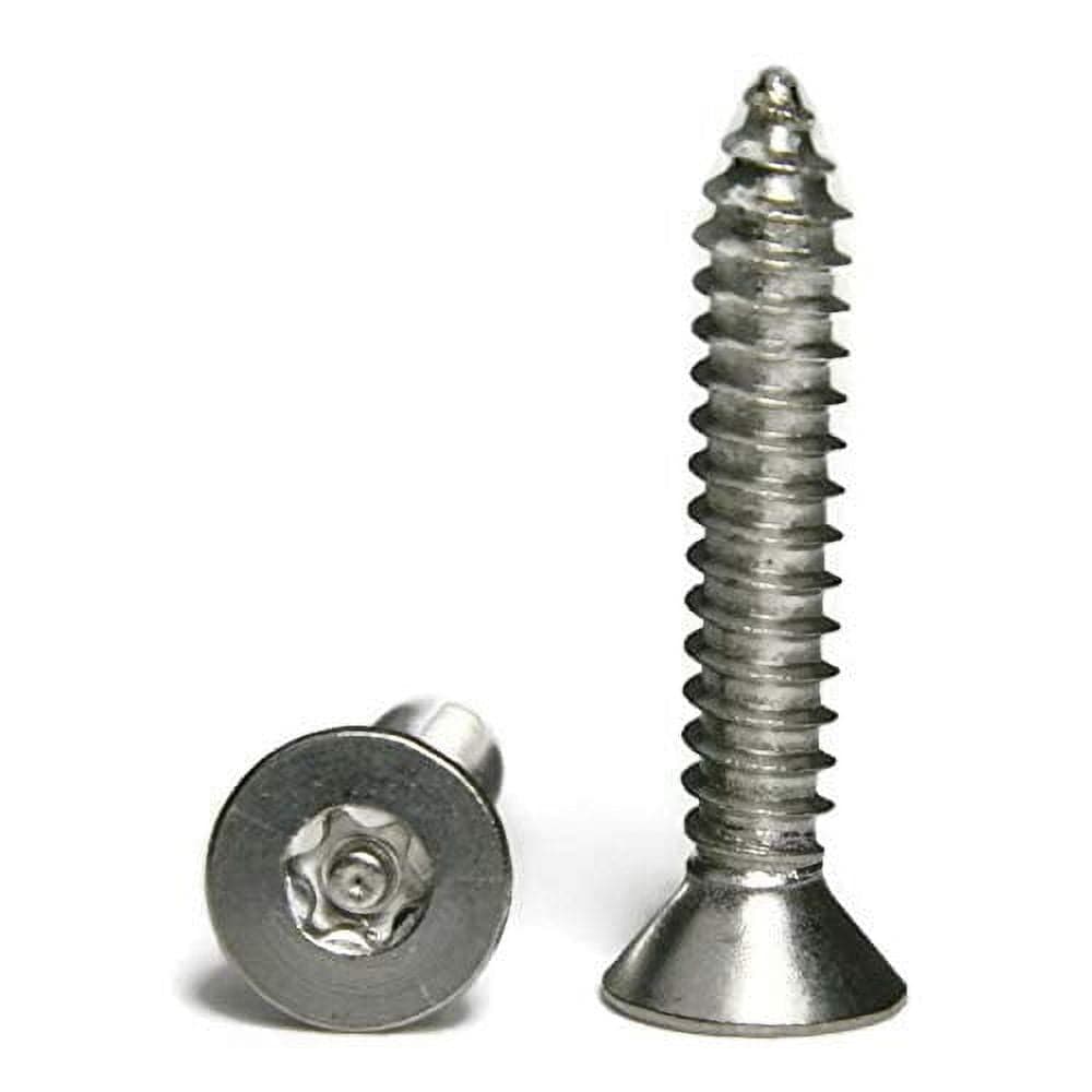 Torx w/Pin Tamper Proof Security Flat Head Sheet Metal Screws 18-8 ...