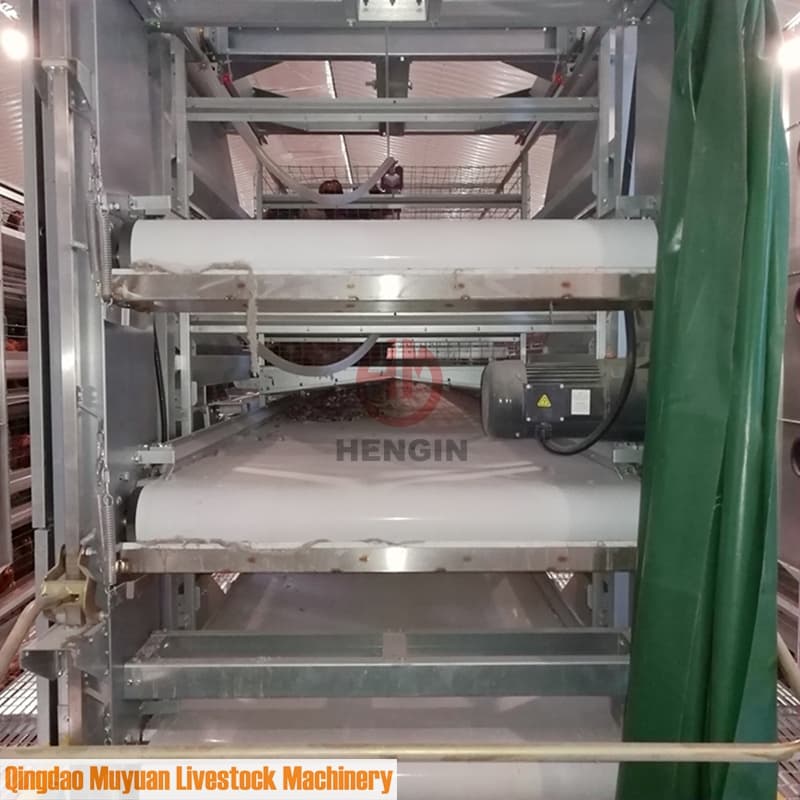 Automatic Manure Cleaning Litter Disposal Conveyor Belt for Poultry ...