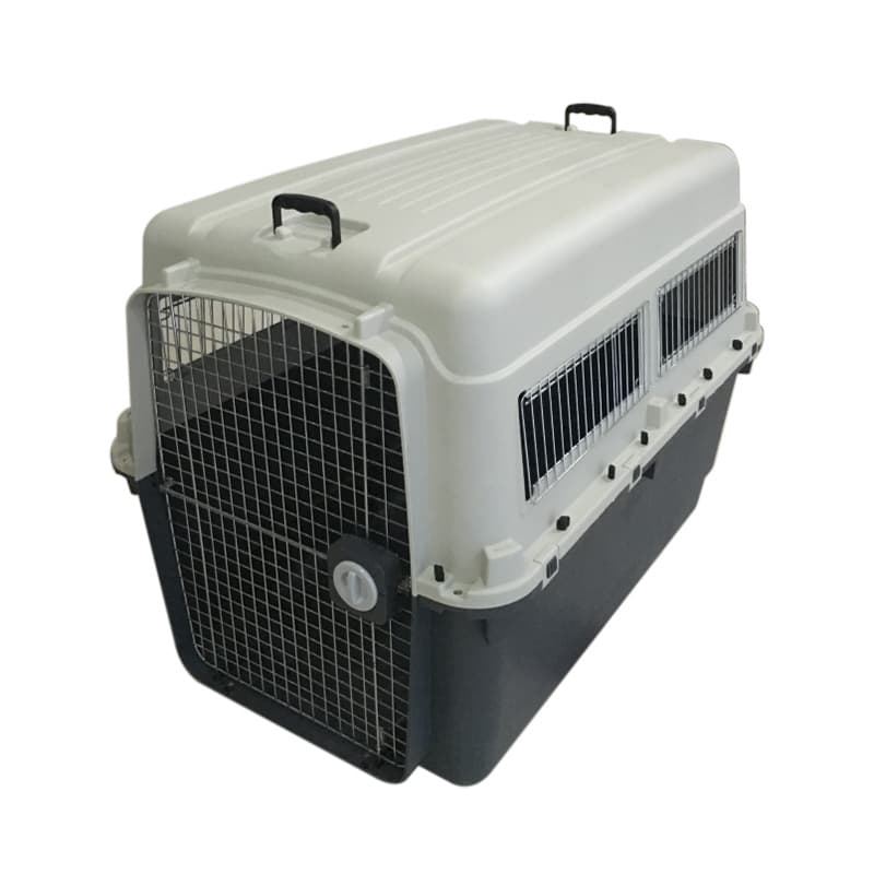 Iata Cat Crate at Bobby Gibson blog