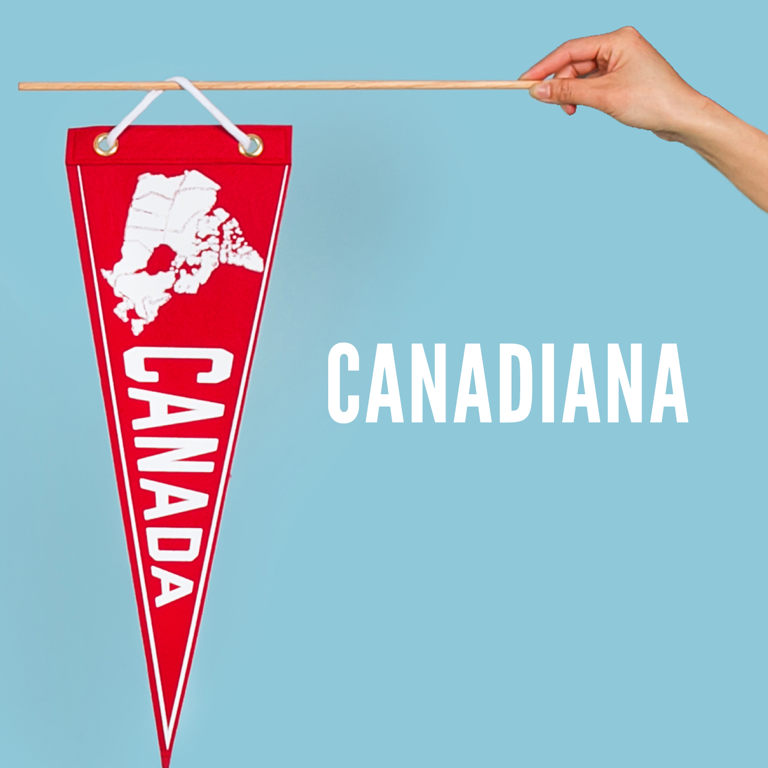 Amazon.com: Drake General Store: Canadiana