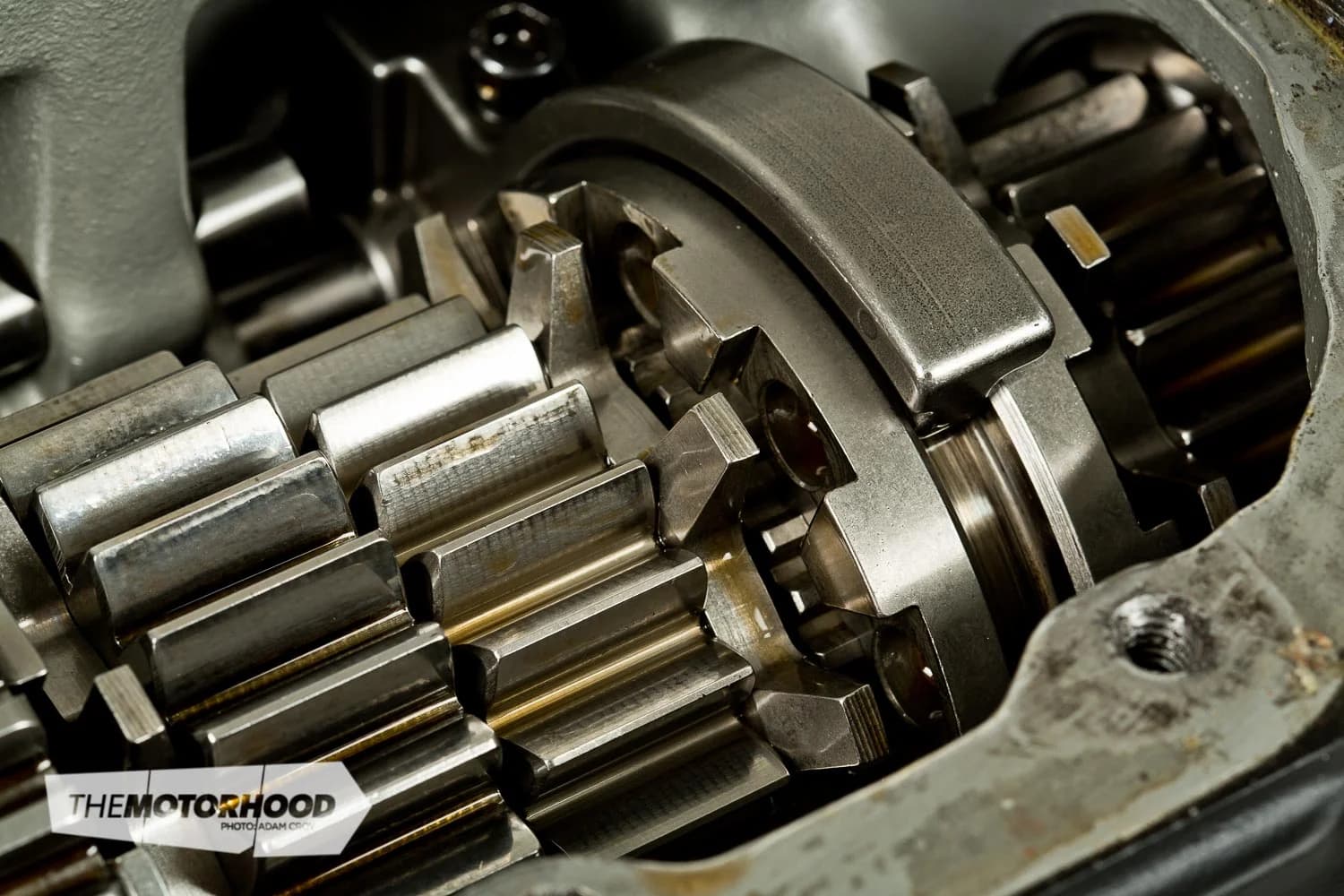 What Is A Dog Gearbox at Sandra Moody blog