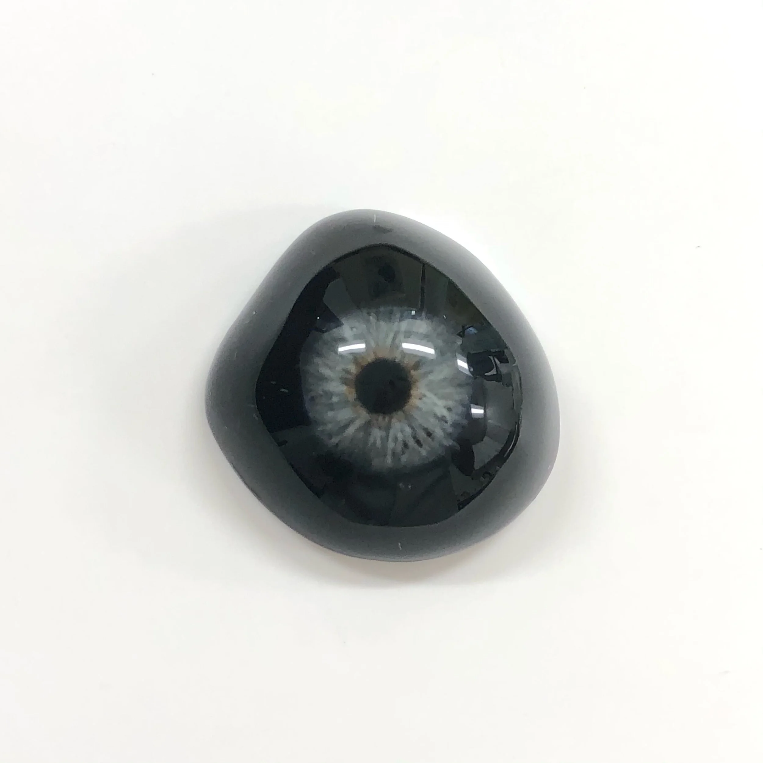 Best Ocular Prosthetics in Canada — 2026 Guide & Reviews