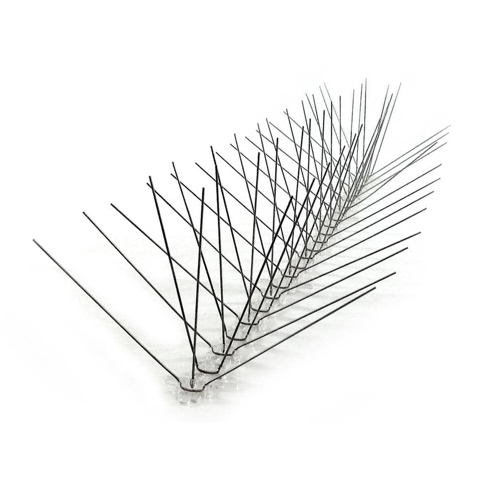 Bird-X 24 ft. Original Commercial Grade Stainless Steel Bird Spikes STS ...