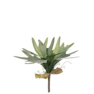 SULLIVANS Artificial 5 in. Green Maiden Hair Fern Half Orb 02104ORB ...