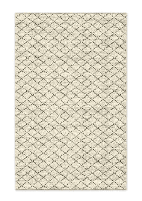 watercolor-trellis-wool-shag-rug-west-elm