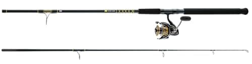 Daiwa BG Surf Spinning Combo - Water Sport Equip