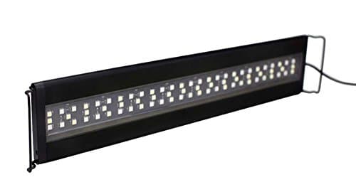 Home / Products / Orbit Marine Pro Reef Aquarium LED Light - Current USA