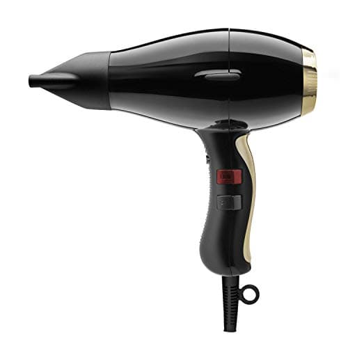 3900 Healthy Ionic: Powerful Professional Hair Dryer | Elchim