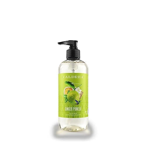 The Beauty of Life: The Best Hand Soaps: Caldrea Ginger Pomelo Hand ...