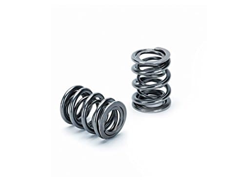 Supertech Dual Valve Spring Kit