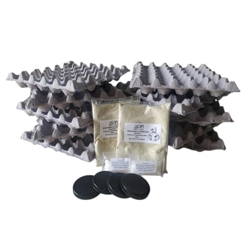 Amazon.com: Dubia Roaches Starter Colony 15 Female & 5 Male + Bonus ...