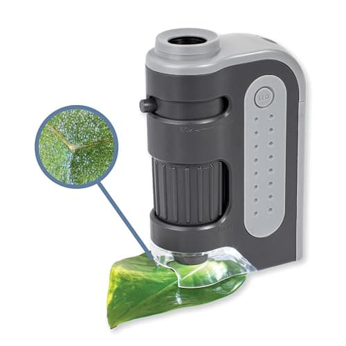 Carson MicroBrite™ Plus 60x - 120x LED Lighted High Definition Children ...