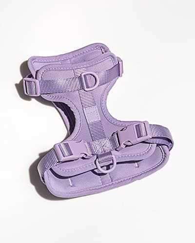 Wild One Dog Walk Kit With Harness Lilac - Dog Insider | Cool Products ...