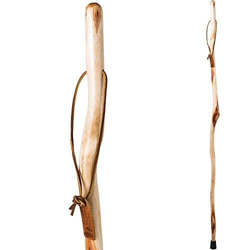 Brazos Walking Sticks 58 in. Free Form Iron Bamboo Walking Stick in Red ...