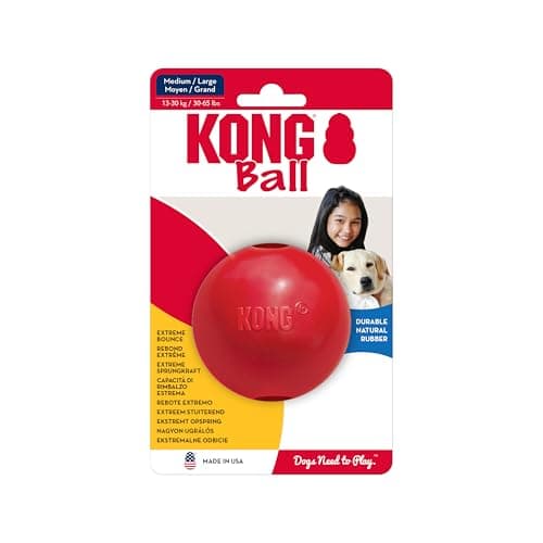 Kong Ball Dog Toy - Kong High Bounce Ball Toys - Pet Essentials Warehouse