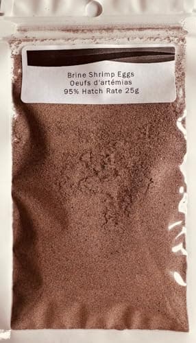 Live Baby Brine Shrimp For Sale | Aquatic Live Food