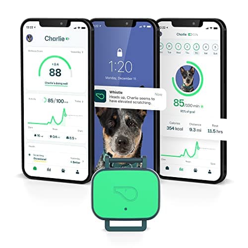 Discontinued - WHISTLE Go Explore Dog GPS Tracker, Green - Chewy.com