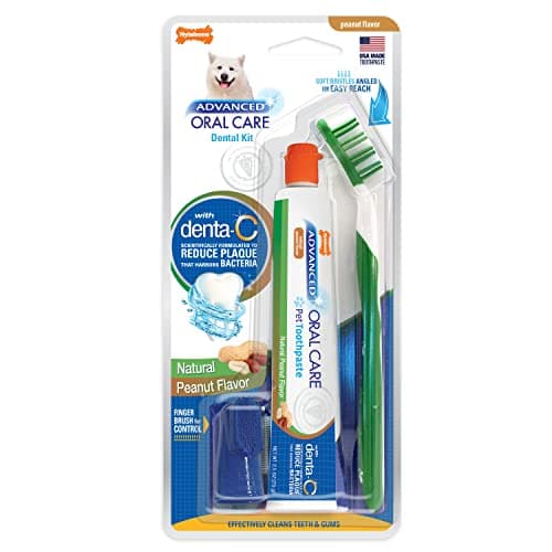 Nylabone Advanced Oral Care Complete Kit