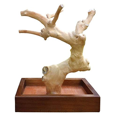 Prevue Pet Products Coffeawood Java Tree Minis Medium Table Top Bird ...