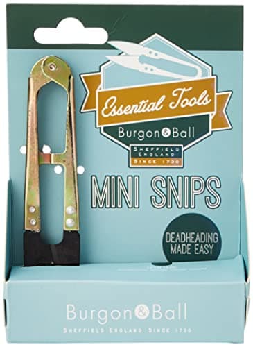 Burgon & Ball | Terrarium Tool Set - Quality Garden Supplies