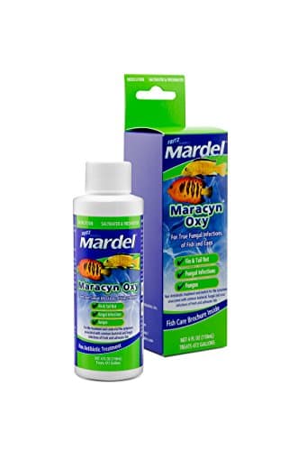 Fritz Mardel Maracyn