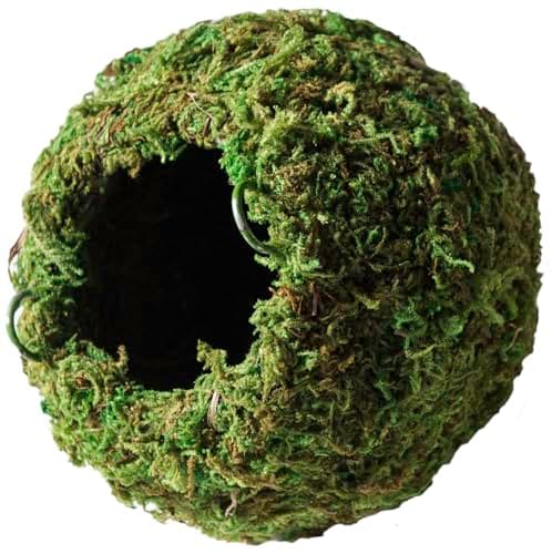 Galapagos Mossy Dome/Hide/Cave, Green, 6" Diameter - ReptilesRuS